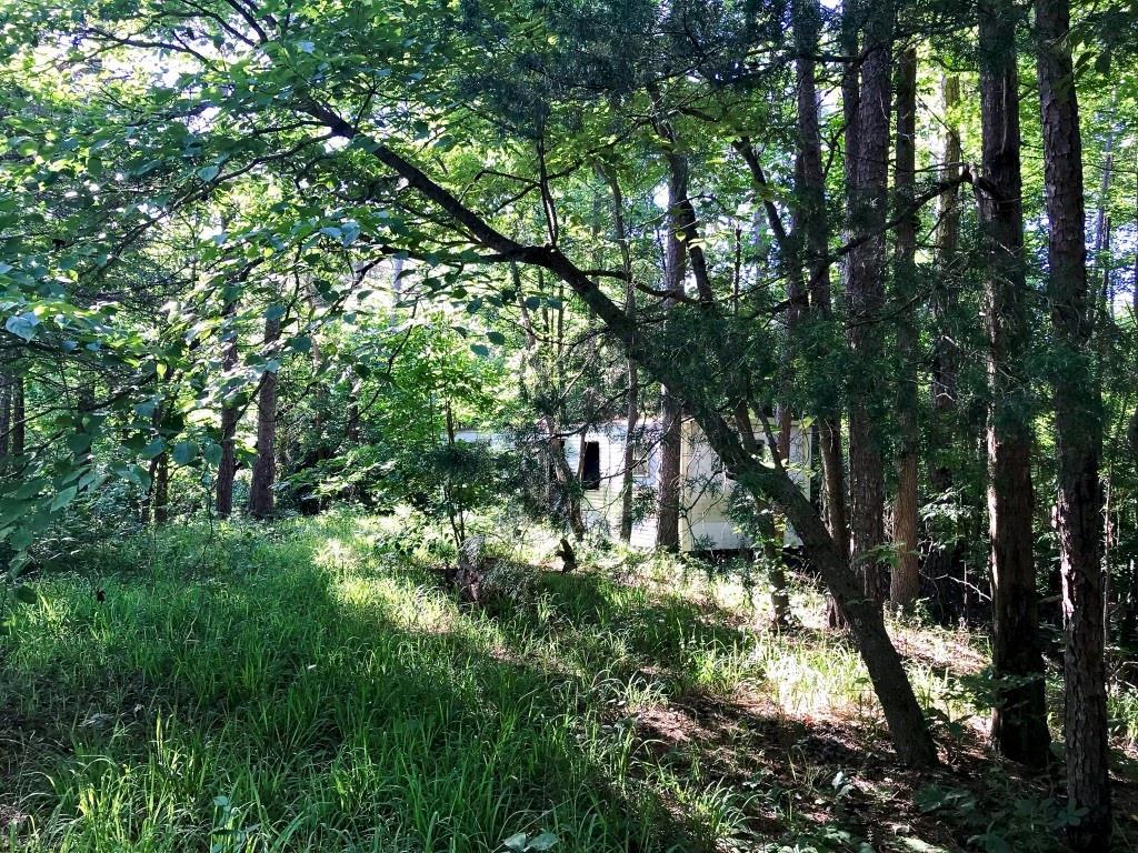 325 Boomerang Trail - Photo 1