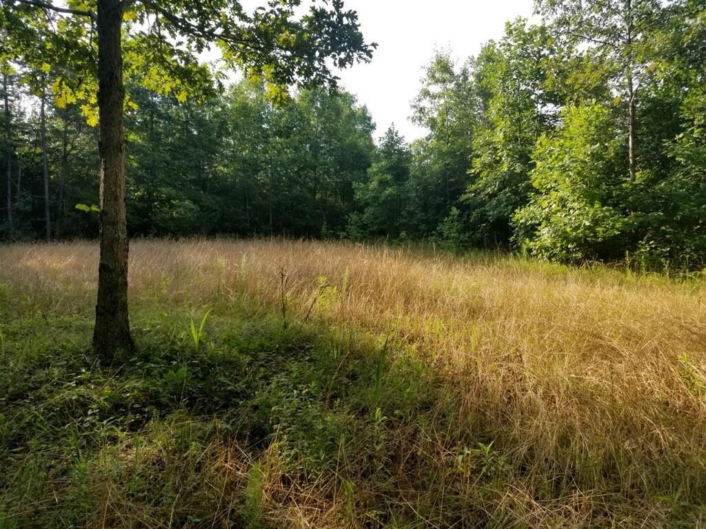 00 Rock Hill Church Road - Photo 1