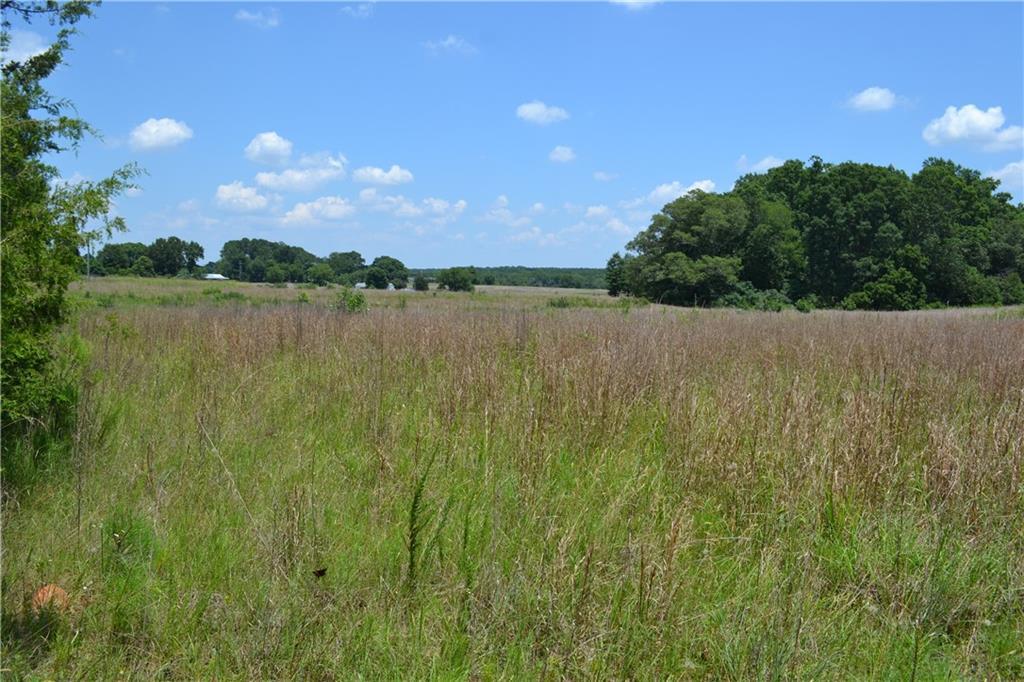 000 Wright School Road - Photo 1