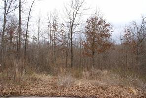 Lot 17 Serria Way - Photo 1