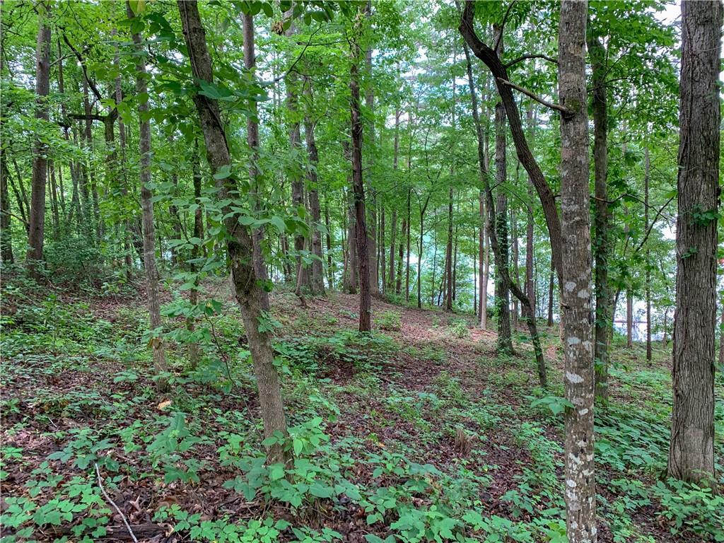 Lot 24-B Waters Edge - Photo 1