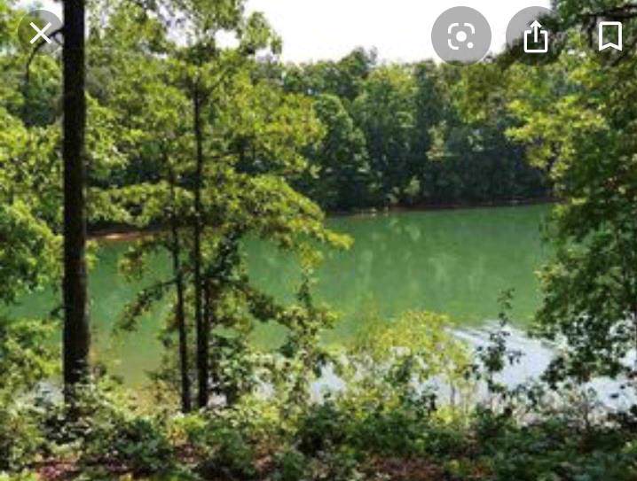 42 Glassy Water Way - Photo 1