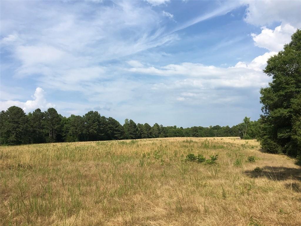 891 Mitchell Place Road - Photo 1