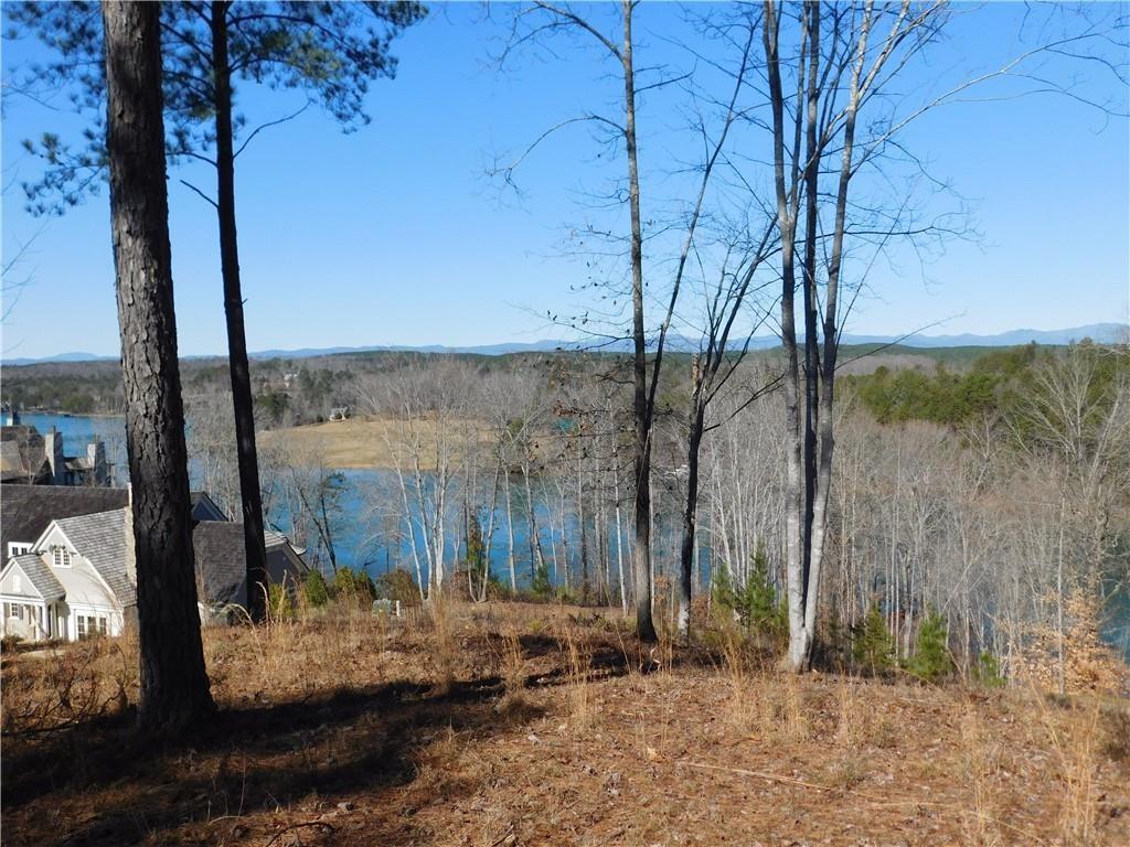 266 Piney Woods Trail - Photo 1