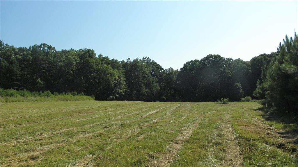 493 Simms School Road - Photo 1