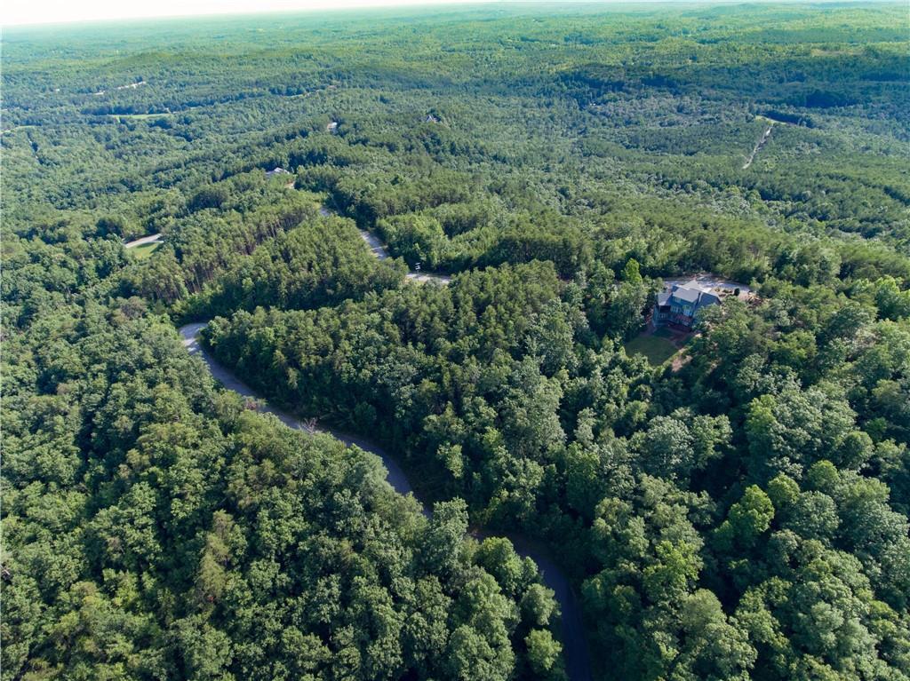 258 Jocassee Ridge Way - Photo 1