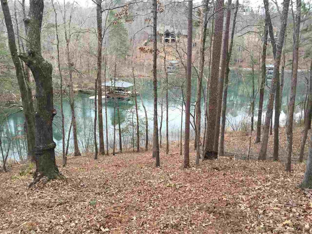AR38 Blue Water Trail - Photo 1