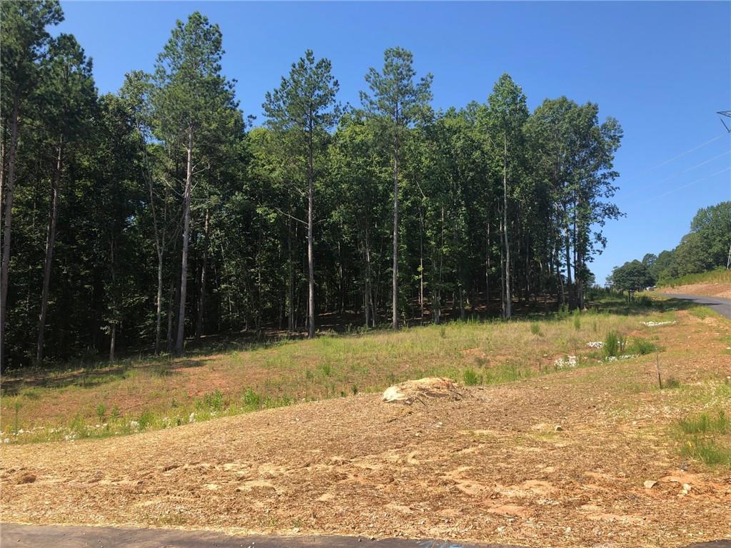 Lot 49 Cove Harbor Drive - Photo 1 Lot 49 Cove Harbor Drive - Photo 1