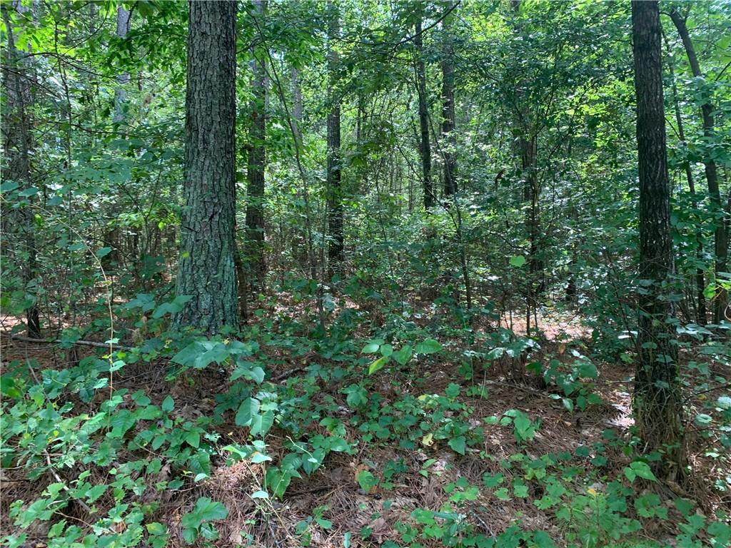 Lot 122 Inwood Court - Photo 1 Lot 122 Inwood Court - Photo 1