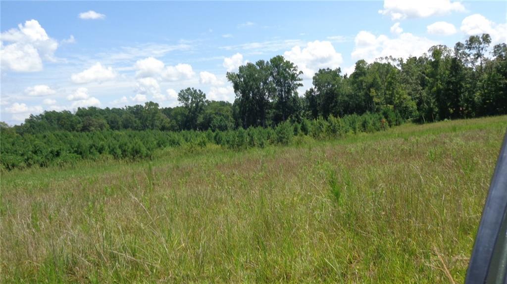 706 Mile Creek Road - Photo 1