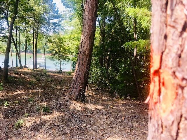 0 Lakeside Trail - Photo 1