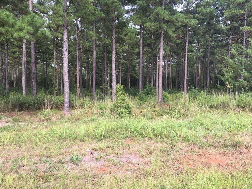 00 Flat Rock Road - Photo 1