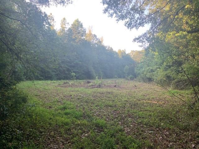 0 Lonesome Dove Road - Photo 1