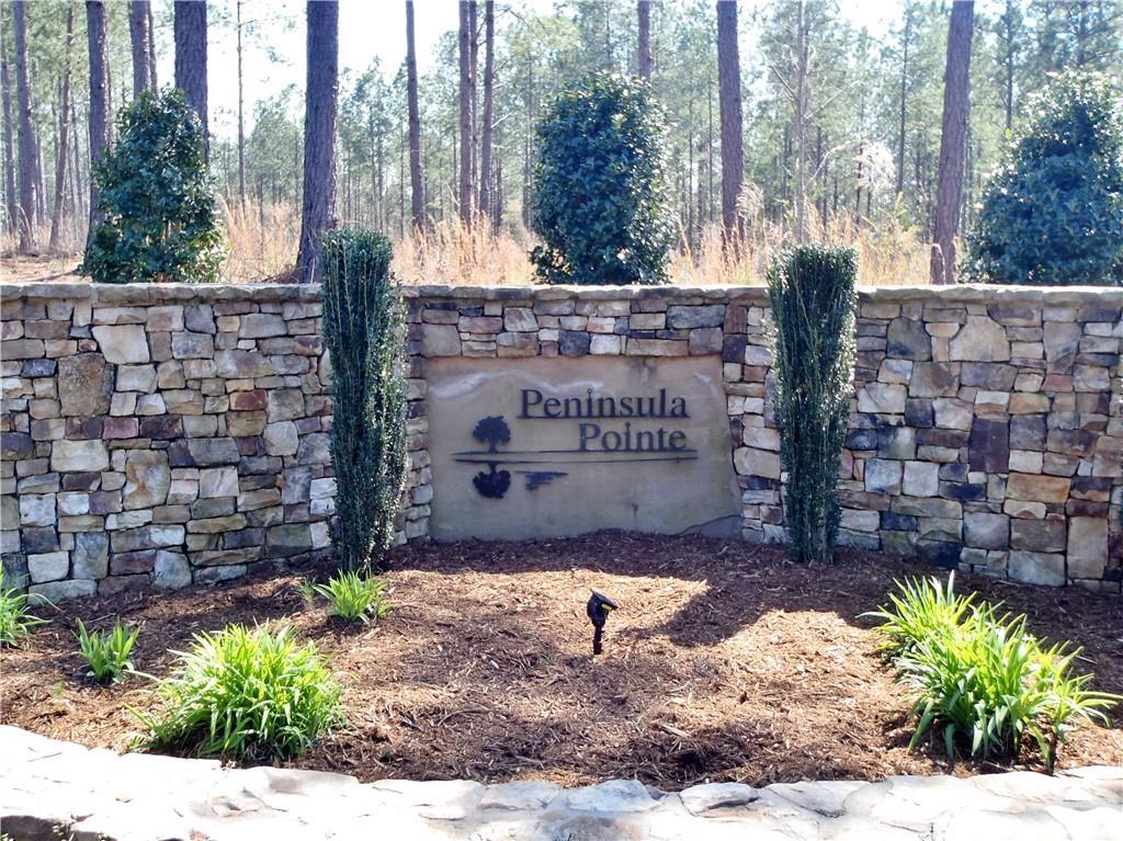 Lot 152 Peninsula Pointe South - Photo 1