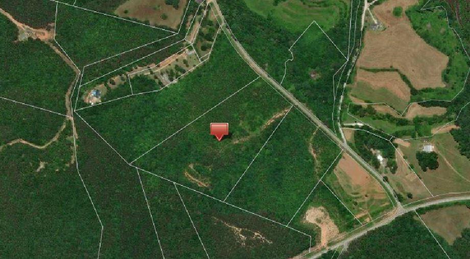20.84 +/- Acres Cleveland Pike Road - Photo 1