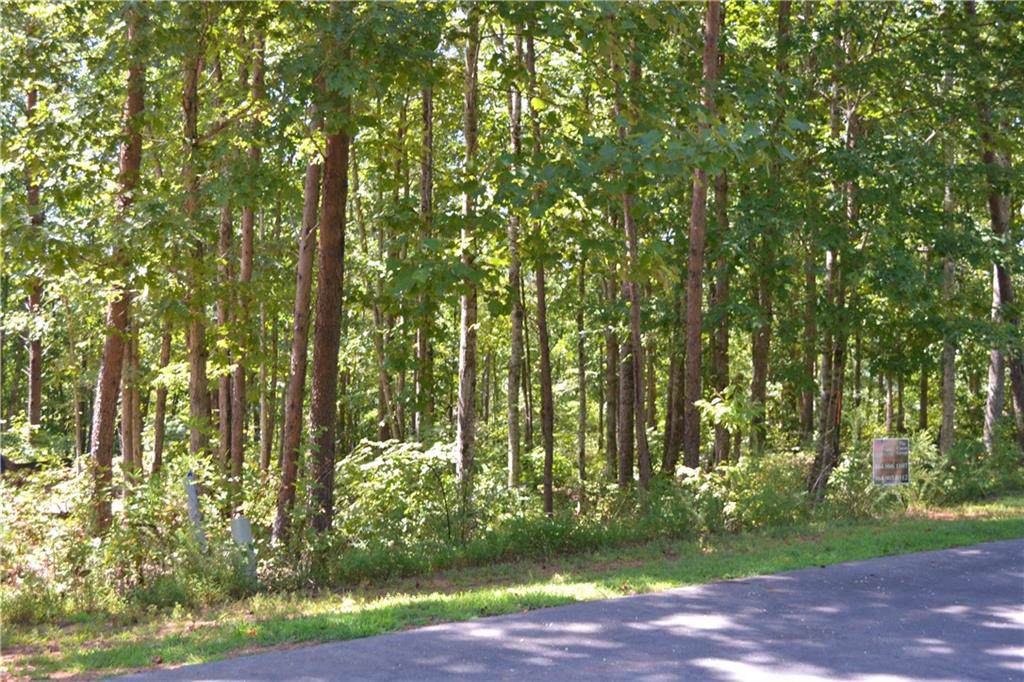 135 Cliffside Trail - Photo 1