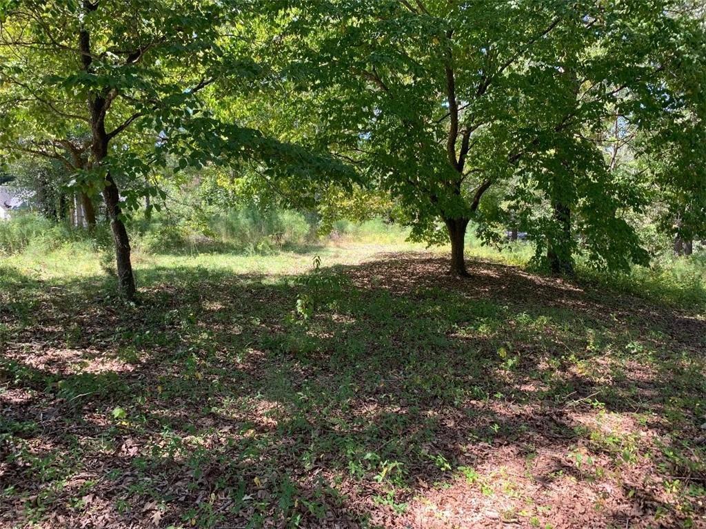 00 Evergreen Forest Drive - Photo 1