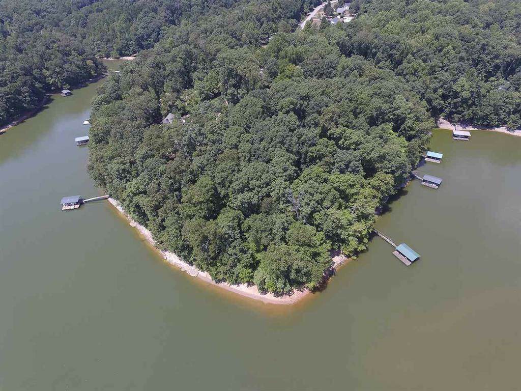 Lot 12 Pointe Wildwood Road - Photo 1