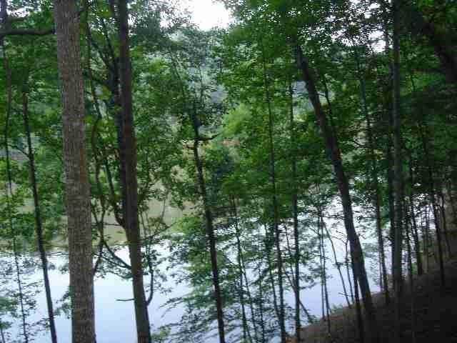 306 Bridgeport Drive - Photo 1