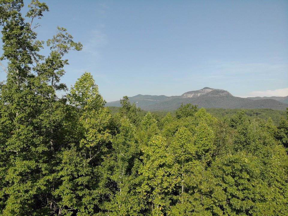 3851 Highway 11 - Photo 1