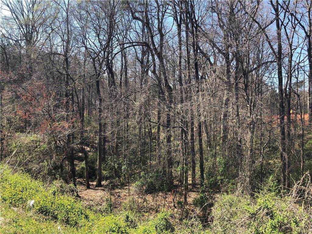 000 Hwy 76 Highway - Photo 1