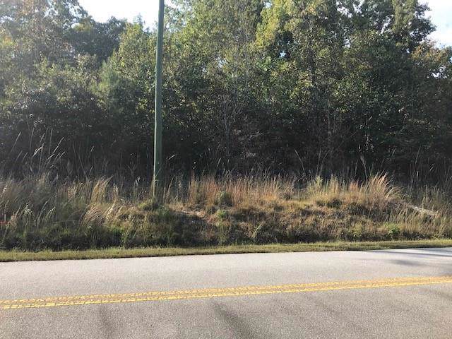 Lot 1 Old Knox Bridge Road - Photo 1