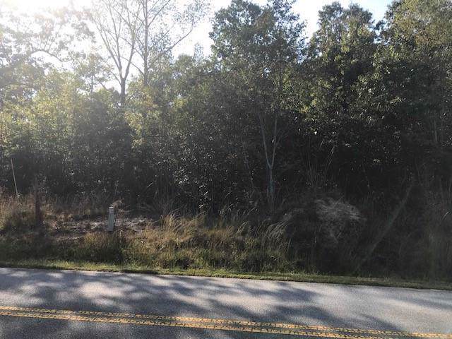 Lot 3 Old Knox Bridge Road - Photo 1