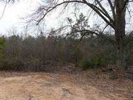 135 Boulden Road - Photo 1