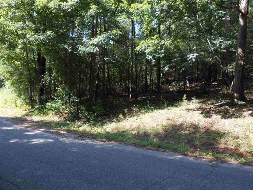 Lot 16 Oak Knoll Drive - Photo 1