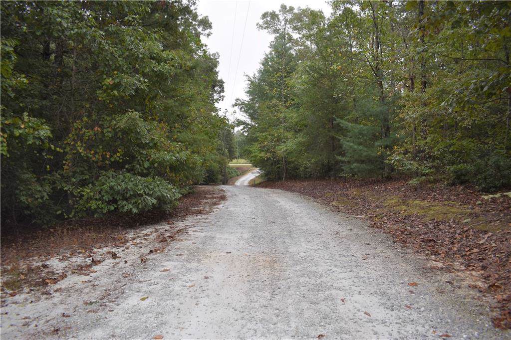 00 Coyote Ridge - Photo 1