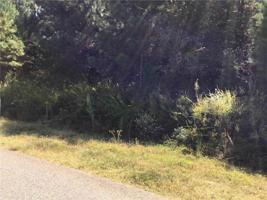 168 Yellow Pine Drive - Photo 1