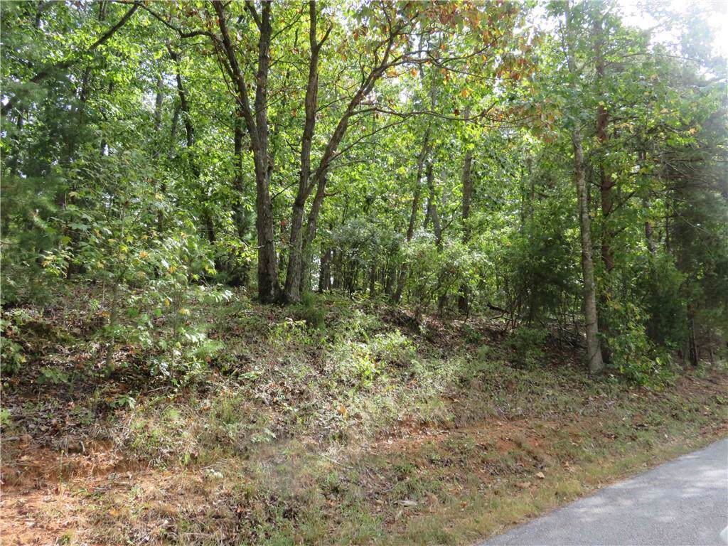 Lot 52 Shirley Circle - Photo 1 Lot 52 Shirley Circle - Photo 1