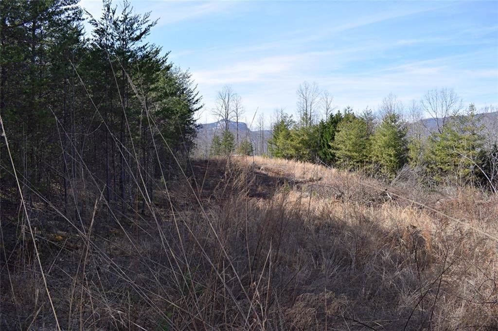 336 Pleasant Grove Road - Photo 1