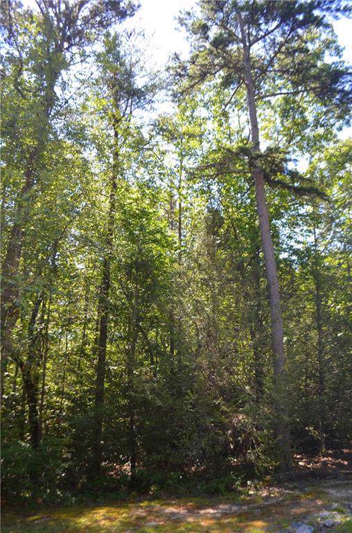 107 Locust Ridge - Photo 1