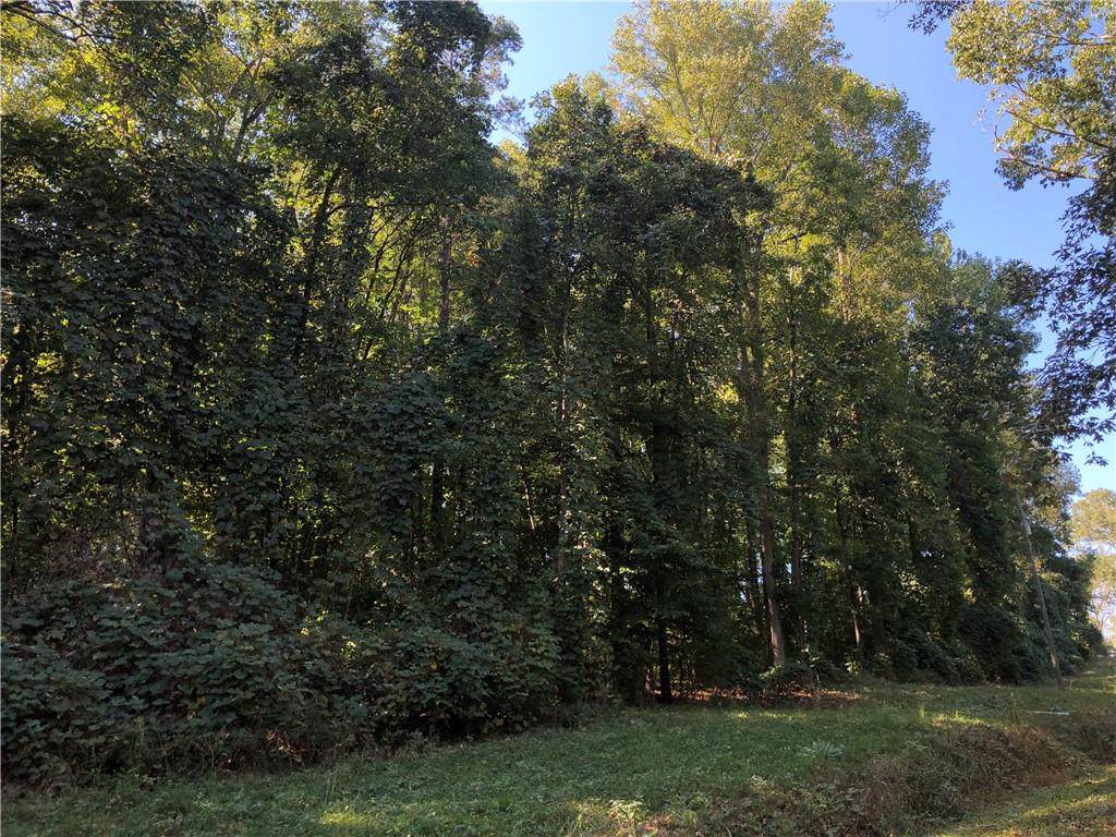 00 Mckittrick Bridge Ext Road - Photo 1