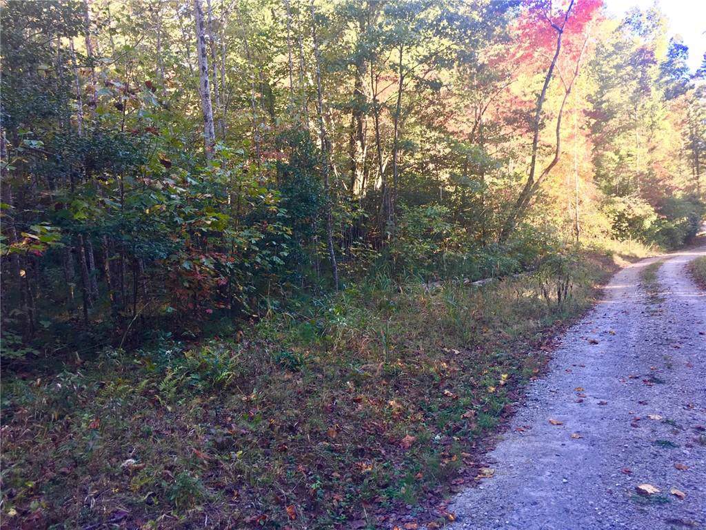 5 Acres Chattooga Lake Road - Photo 1
