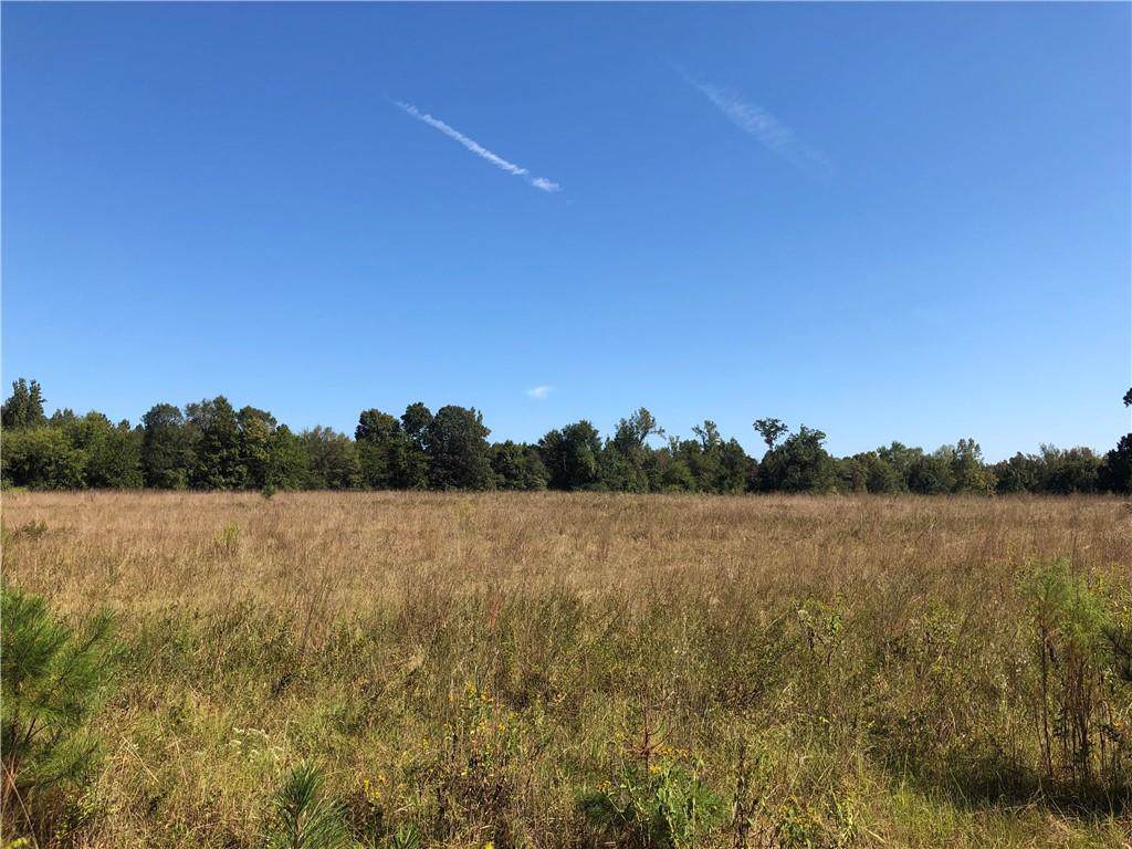 00 Old Calhoun Falls Road - Photo 1