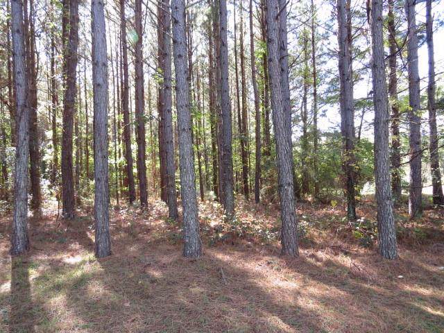 0 88 Highway - Photo 1