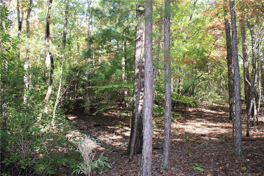 00 Busch Creek Road - Photo 1