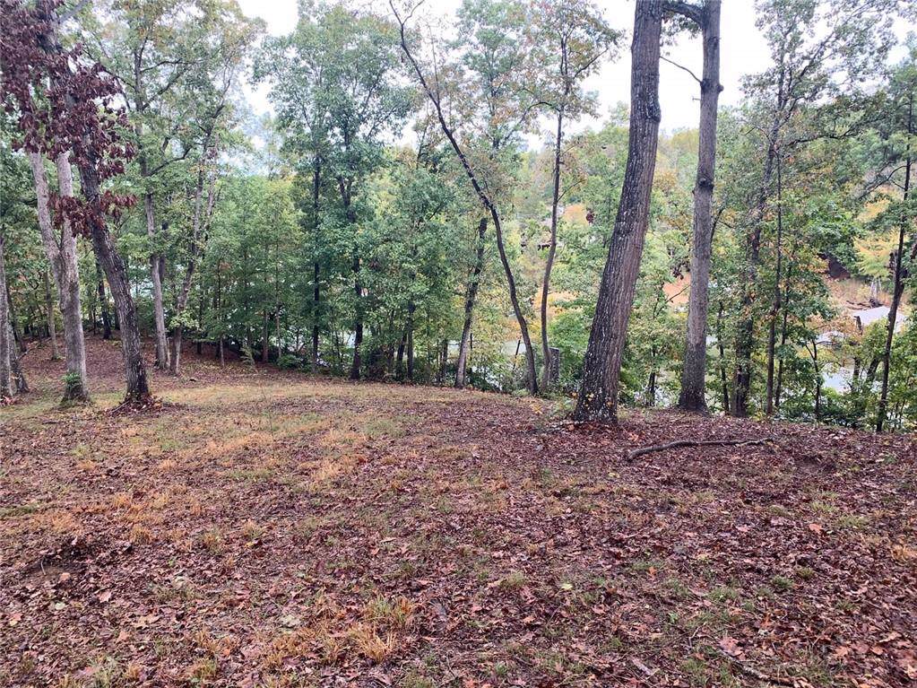 0 Old Mill Road - Photo 1