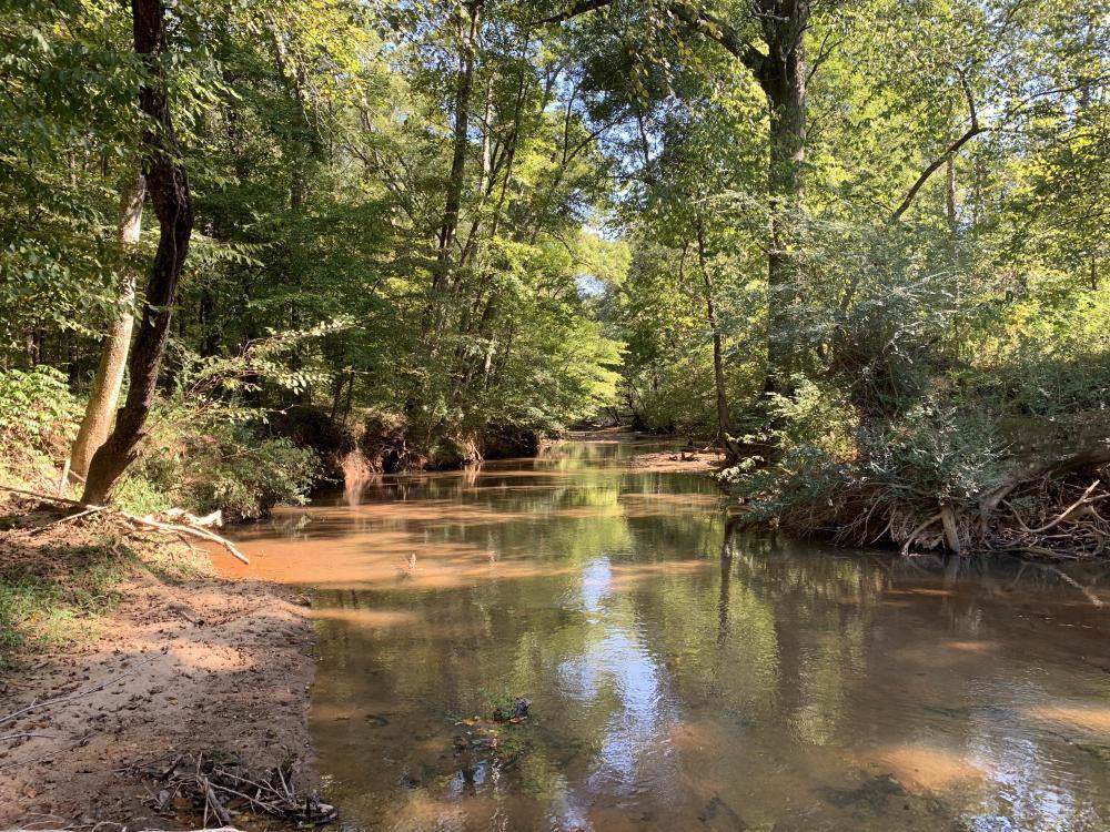 421 Old Boiling Springs Road - Photo 1