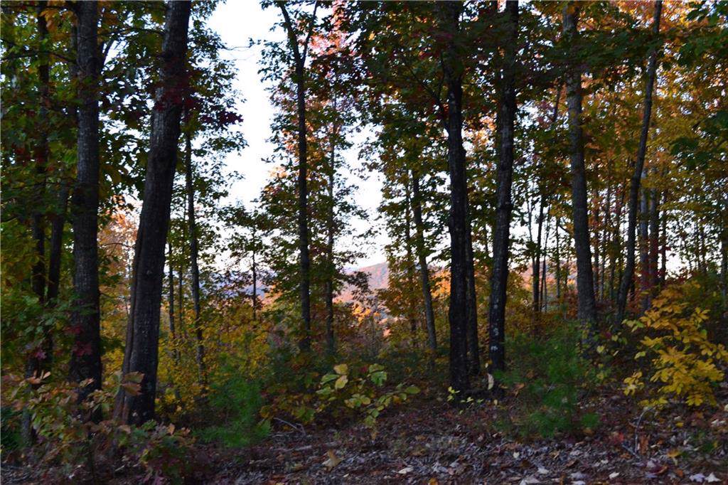 210 Cliffside Trail - Photo 1