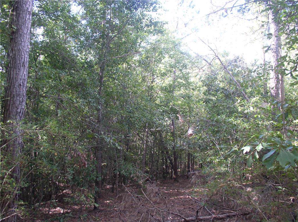 Tract D Blackjack Road - Photo 1