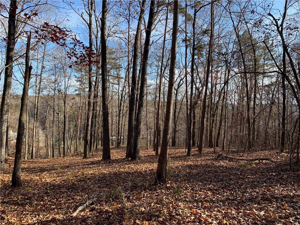 Tract 1 Bridgeport Drive - Photo 1