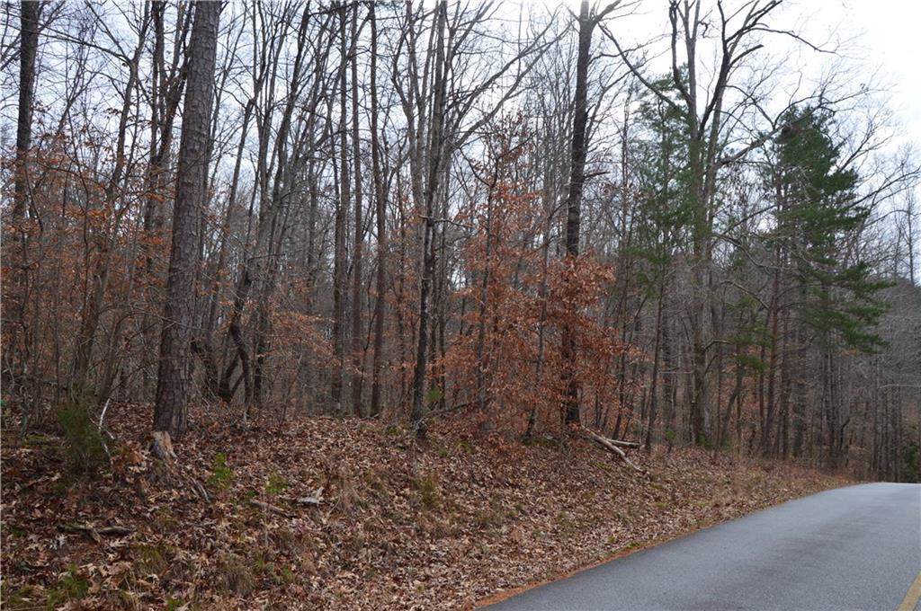 160 Beaver Lake Drive - Photo 1