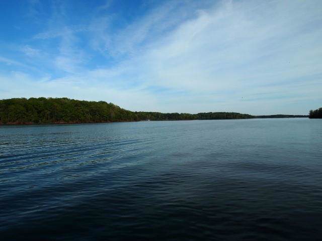00 Deep River Road - Photo 1
