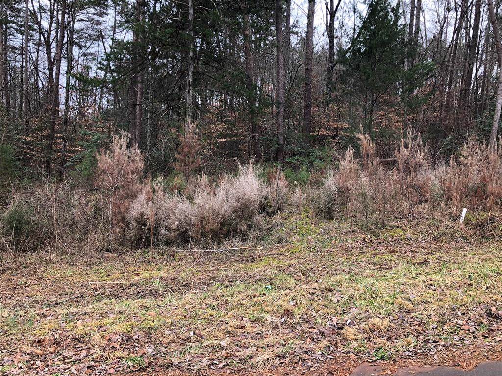 239 Shannandoah Drive - Photo 1