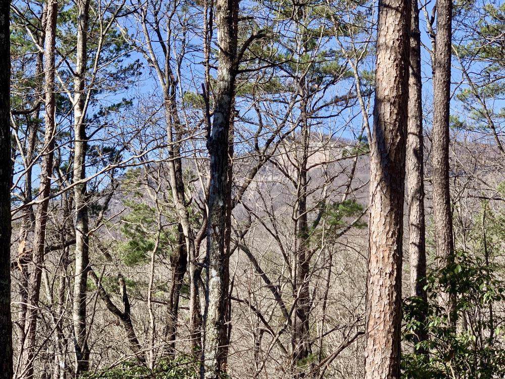 00 South Saluda Road - Photo 1