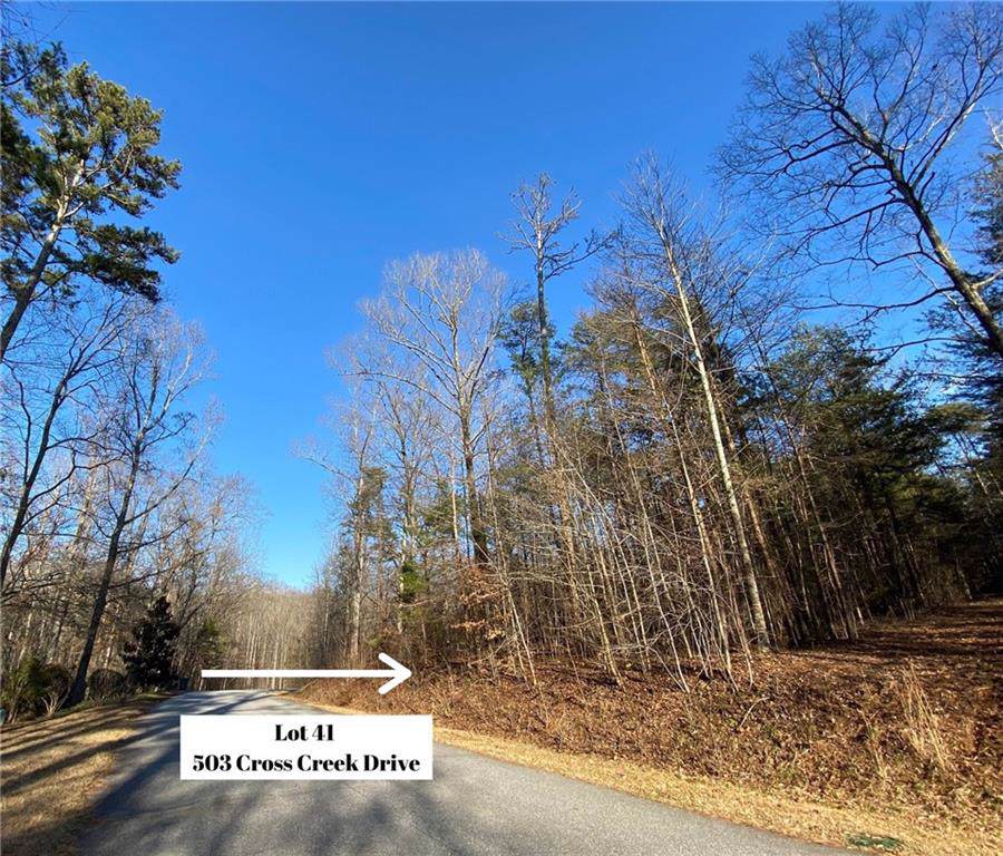 503 Cross Creek Drive - Photo 1