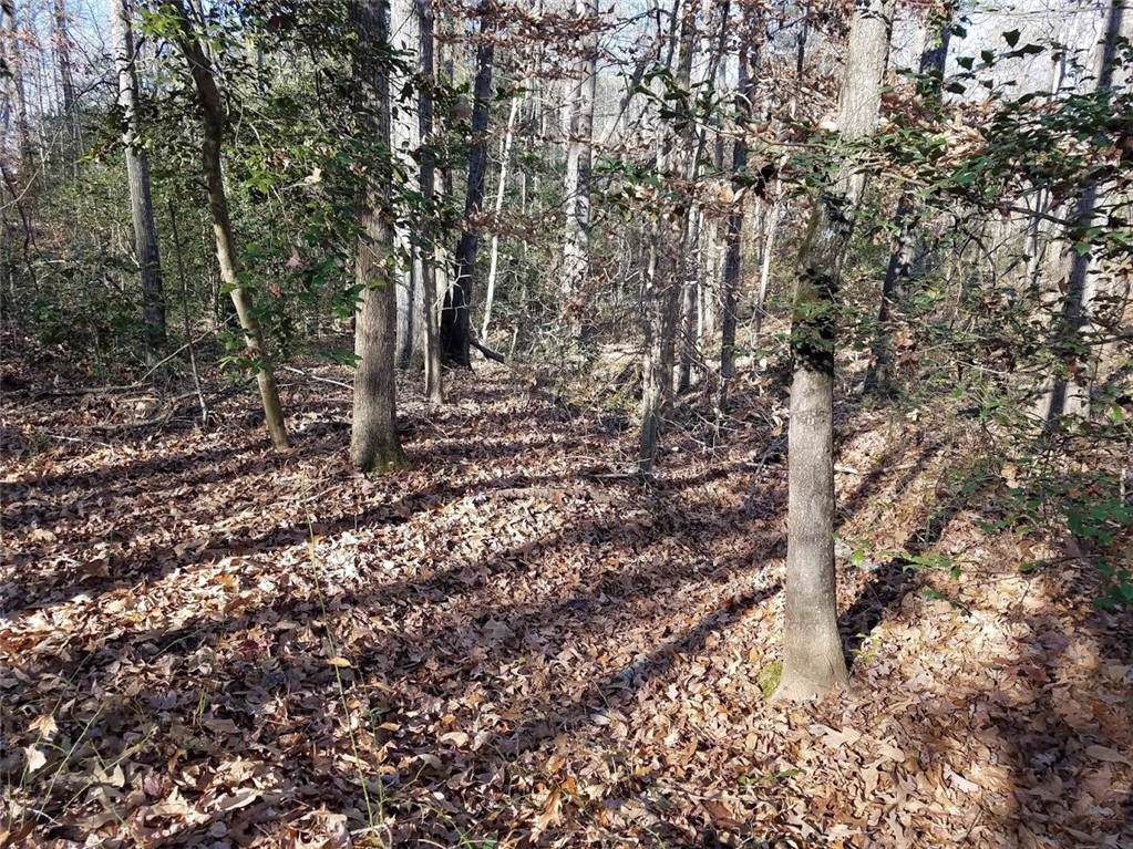 0000 Green Willow Trail - Photo 1